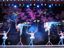 Beijing Night Show Tour: Acrobatics Show