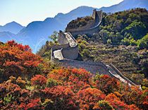 No Shopping: Half Day Badaling Great Wall Tour